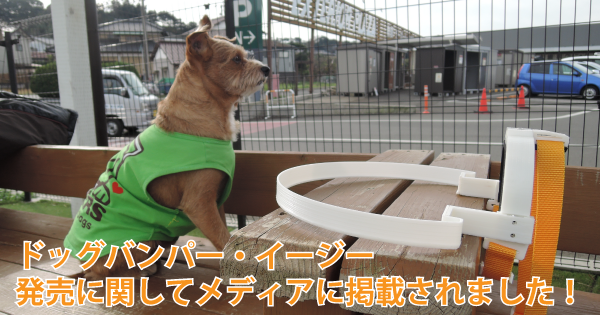 ドッグバンパー・イージーと木のベンチにお座りする緑色のタンクトップを着た茶色のテリア系ミックス犬