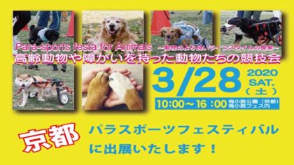 高齢犬や身体に障害をかかえた犬のスポーツイベント、パラスポーツフェスタアイキャッチ画像