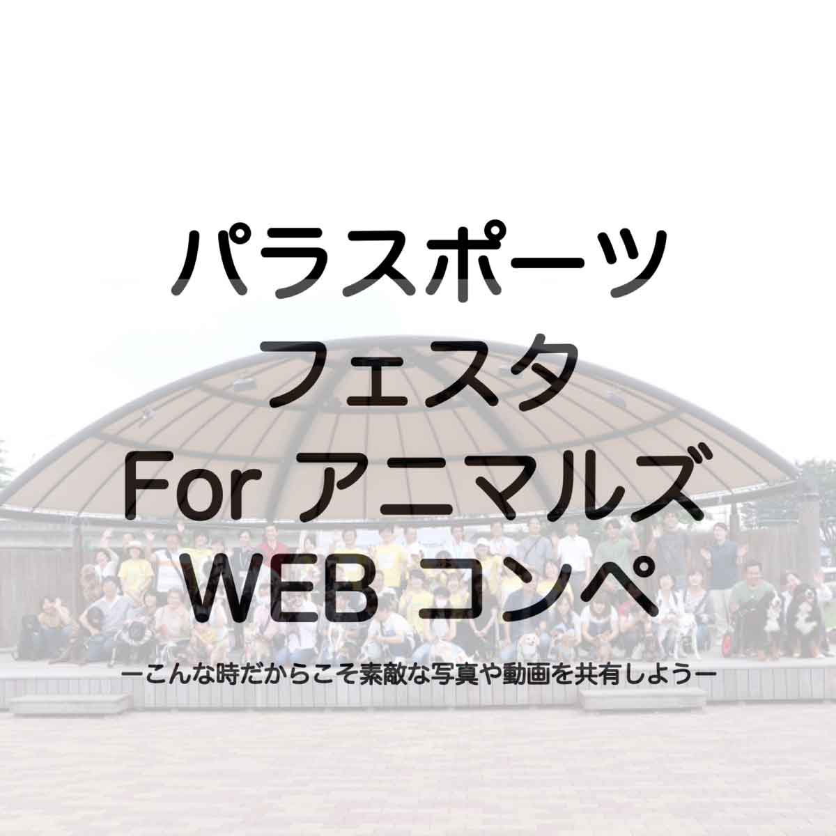 パラスポーツフェスタForアニマルズWEBコンペ