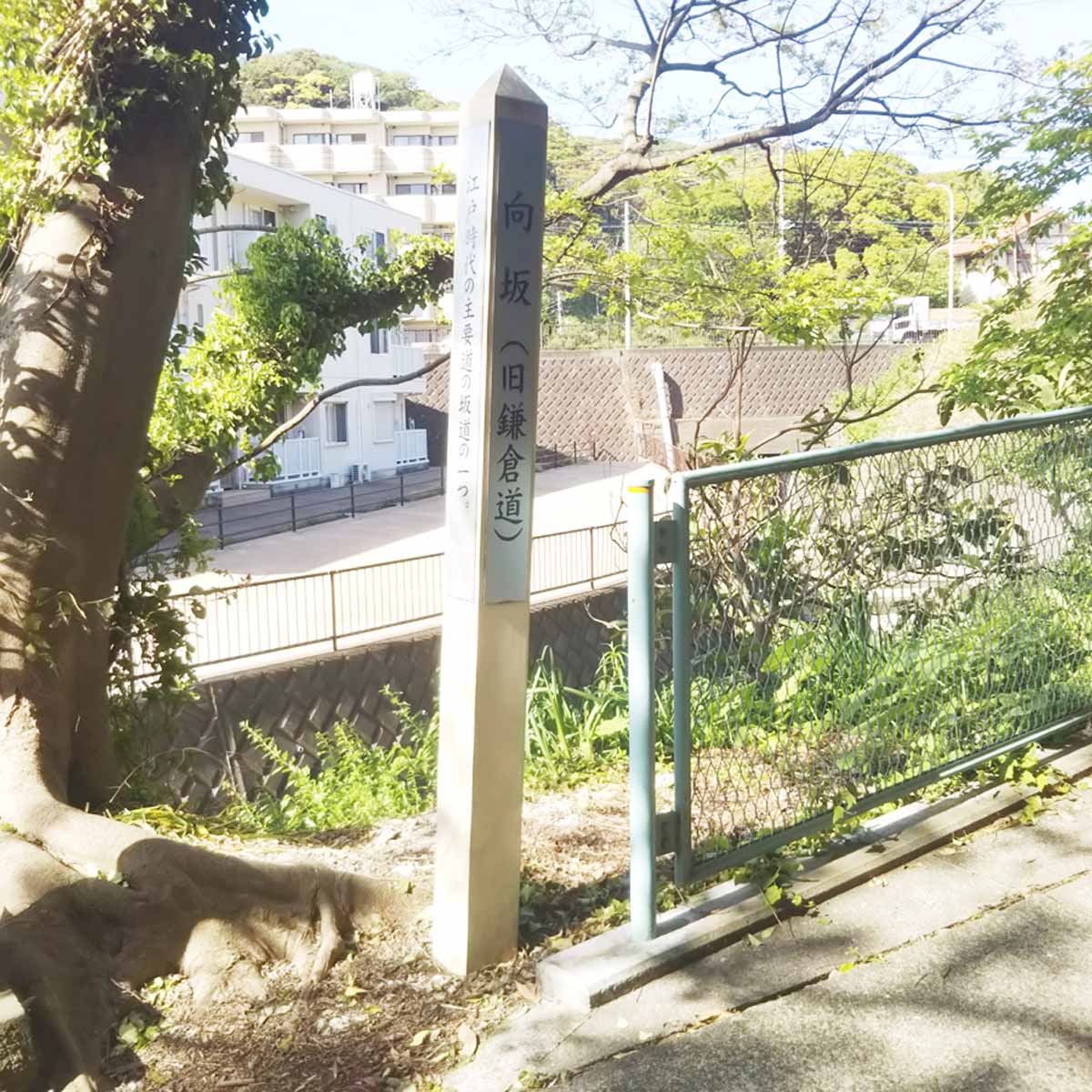 鎌倉道石碑画像・鎌倉時代から残っている古道横須賀市秋谷