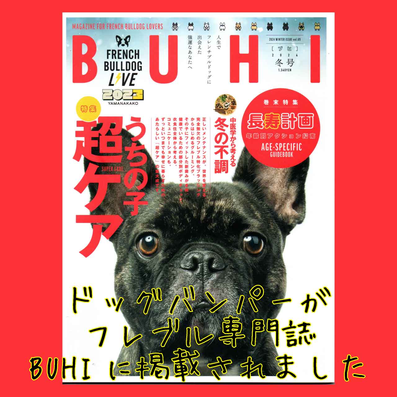 BUHI 雑誌　vol.1〜65 フレンチブルドッグ BUHI（ブヒ） 2024年8月号 (発売日2024年06月27日) | 雑誌/定期