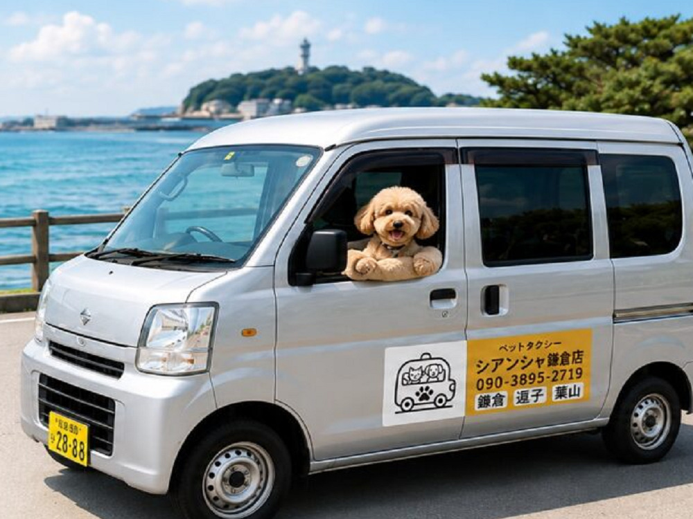 シアンシャンイメージ画像