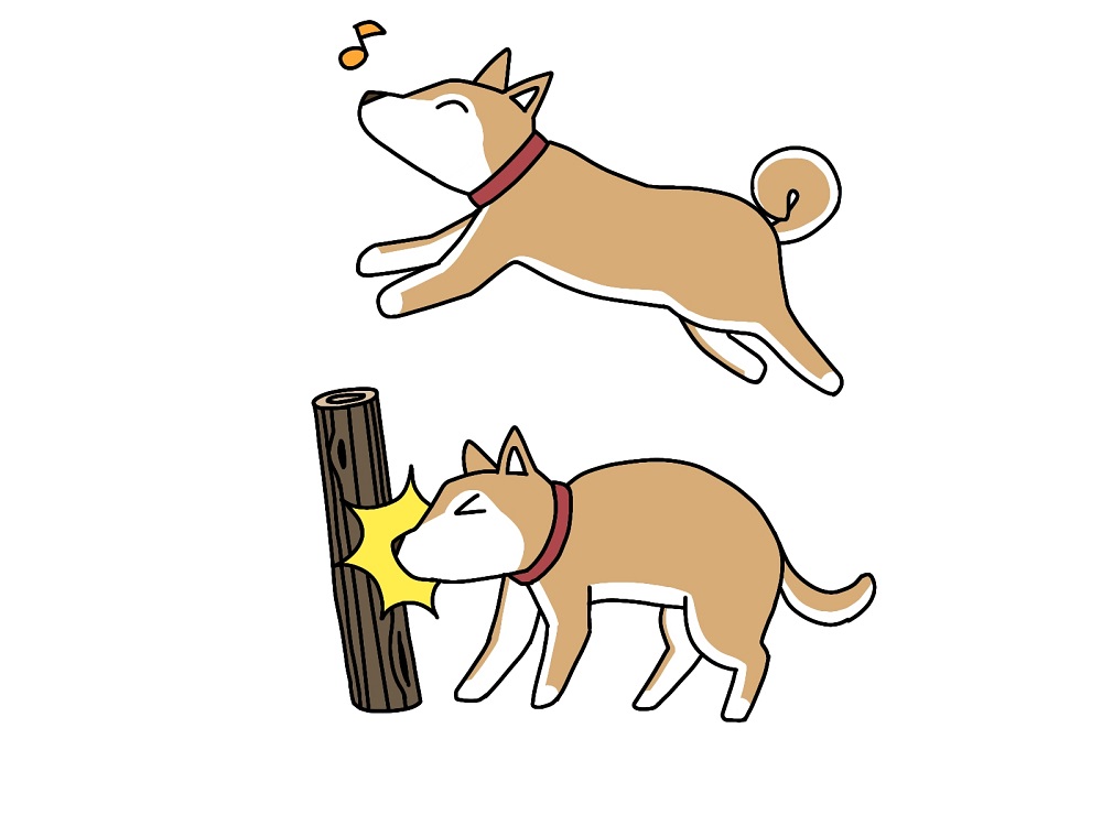 犬も歩けば棒に当たる