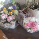 テンがもらったきれいな花束