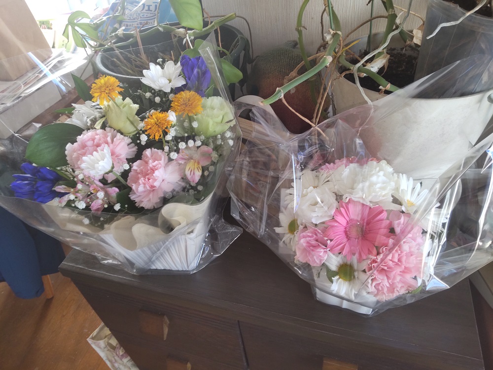 テンがもらったきれいな花束