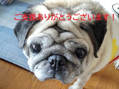 ご支援ありがとうございます