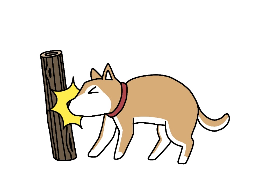 ぶつかる犬